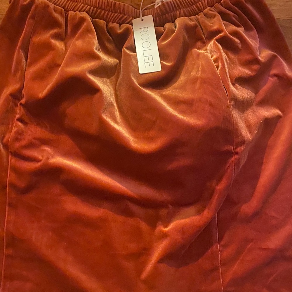Brand new Roolee skirt!